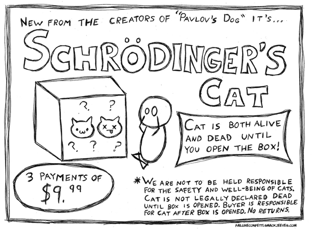 schrodinger__s_cat_by_failureconfetti-d3kh8t5-1
